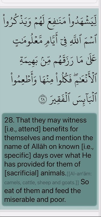 Quran Surah Al Hajj 22 Verse 28 Mahmoud Khalil Al Hussary quran quran-surah-al-hajj-22-verse-28-mahmoud-khalil-al-hussary-quran