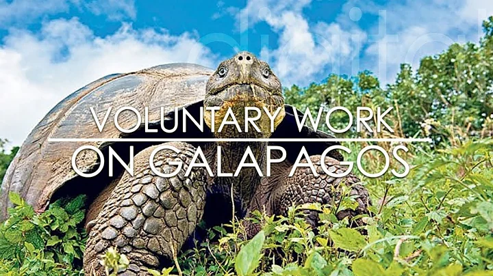 Voluntary work abroad on Galapagos Island