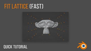 Information Fast Fit Lattice (Blender tutorial) Guide