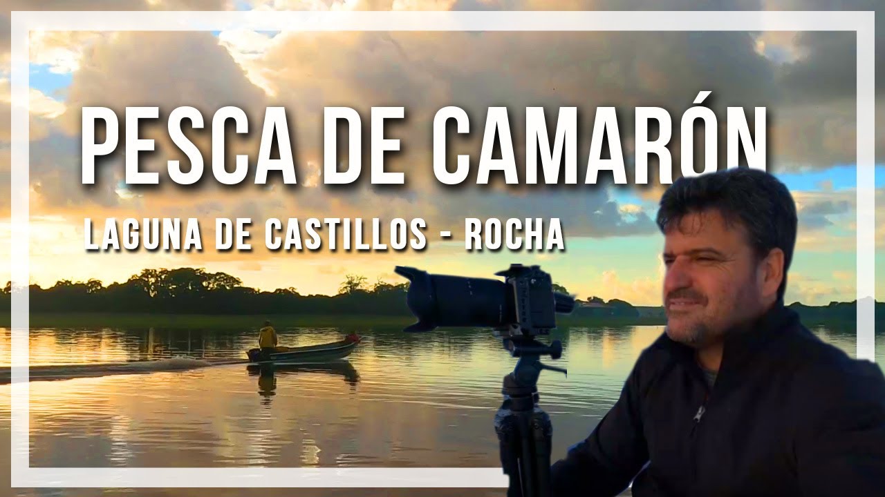 🔹 PESCA artesanal de CAMARÓN en Uruguay, 🔹programa Contacto🌎🌍