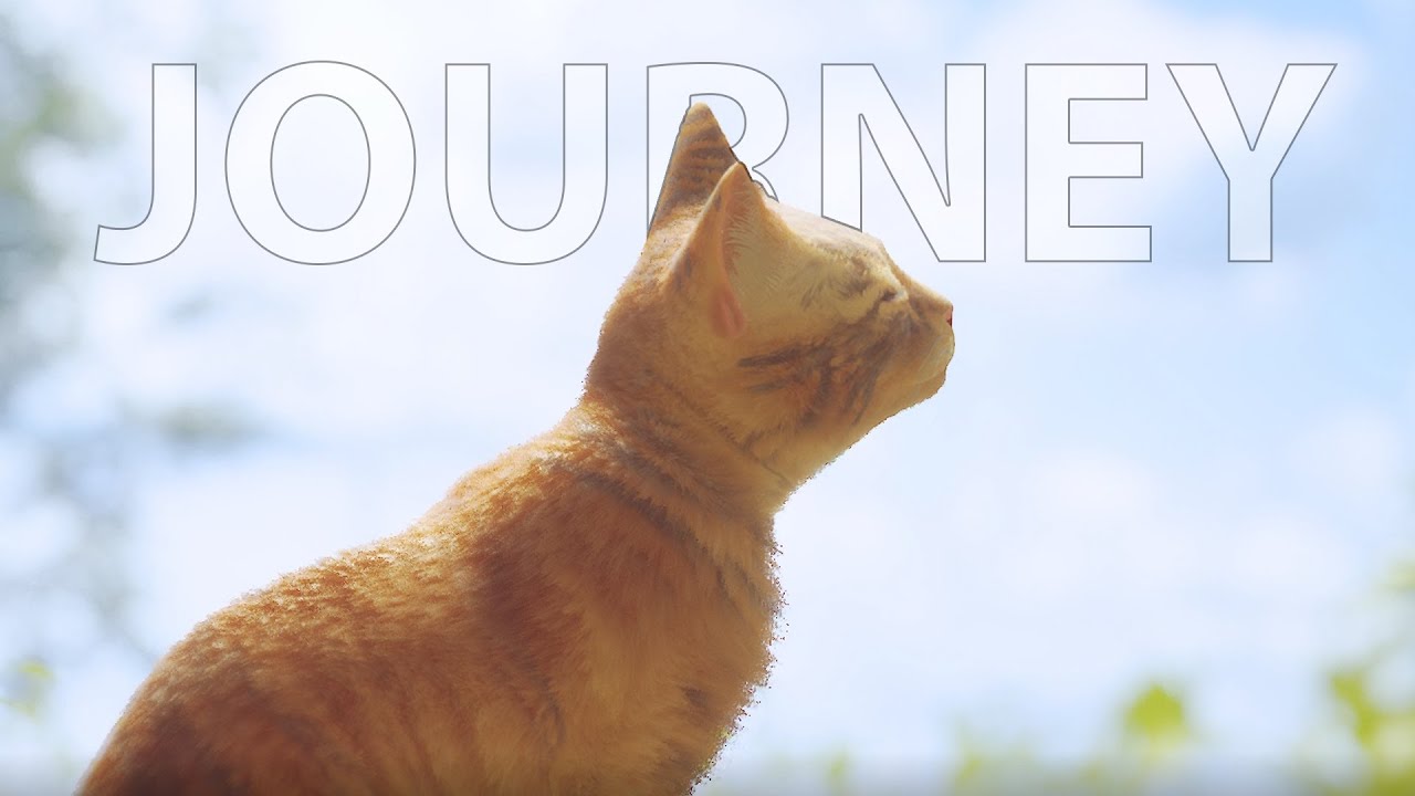 Journey | Stray - YouTube