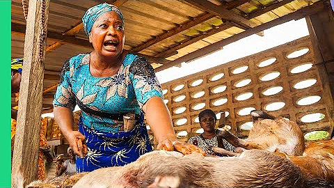 Extreme Bushmeat!! Nigeria's WILD Animal Markets!! - DayDayNews