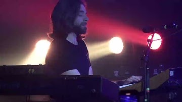 Dogs In A Pile - "Spun - Greta" - 02/12/25