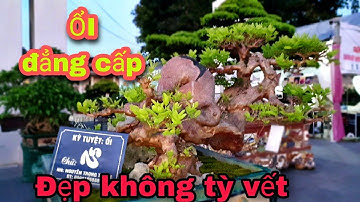 Siêu phẩm ổi và nhiều tác phẩm ngắm không biết chán tại triển lãm Bắc Ninh vào buổi chiều tối