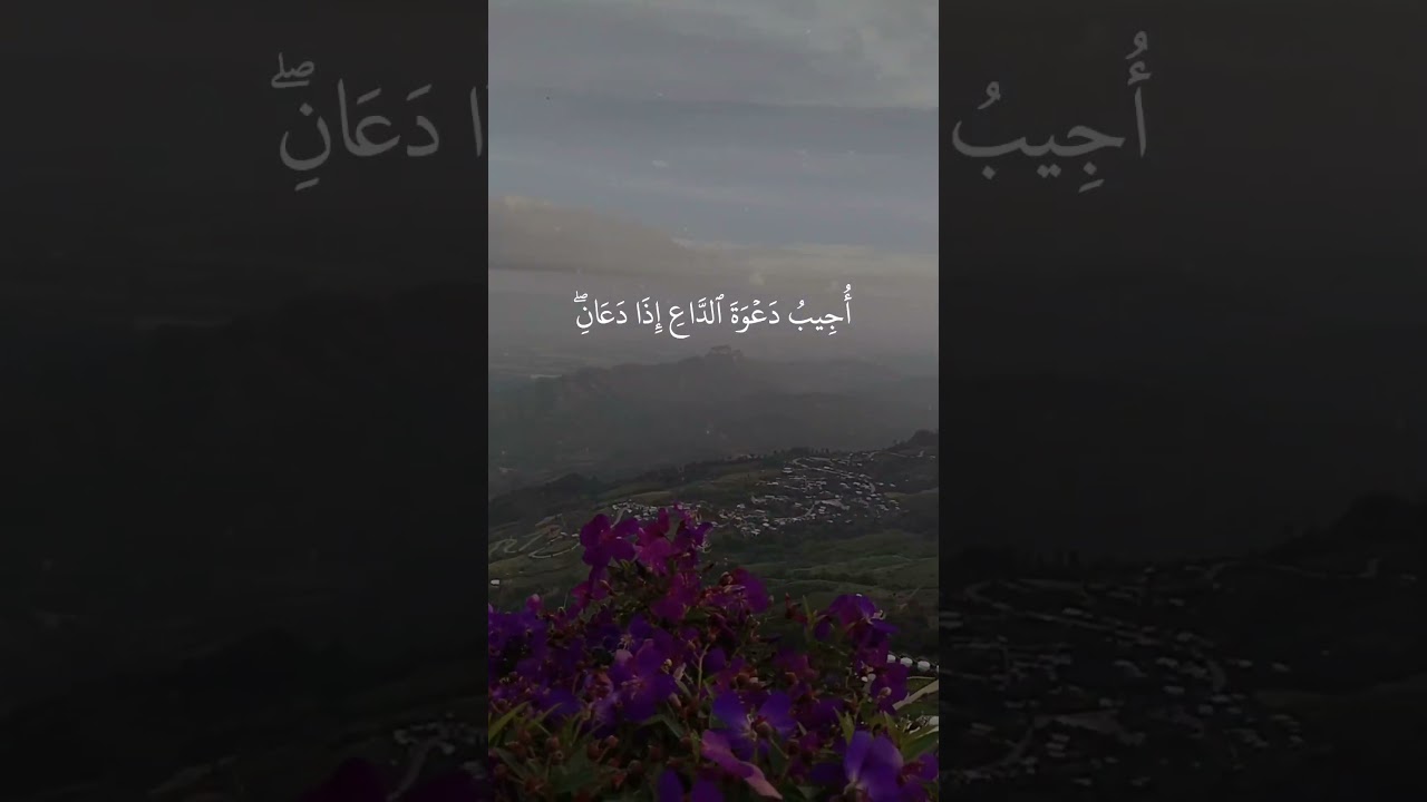 وَإِذَا سَأَلَكَ عِبَادِي عَنِّي | تلاوة خاشعة بصوت الشيخ عبد الباسط عبد الصمد