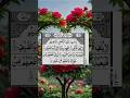 Title: The Miracle of Surah Quraysh | The Quranic Secret of Sustenance, Peace, and Blessings #shorts