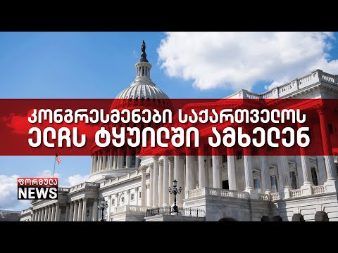 ამერიკელი კონგრესმენები საქართველოს ელჩს ტყუილში ამხელენ