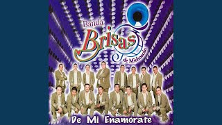 Video thumbnail of "Banda Brisas De Michoacán - Cuando Salgo a los Campos"