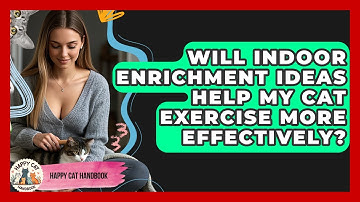 Will Indoor Enrichment Ideas Help My Cat Exercise More Effectively? | Happy Cat Handbook