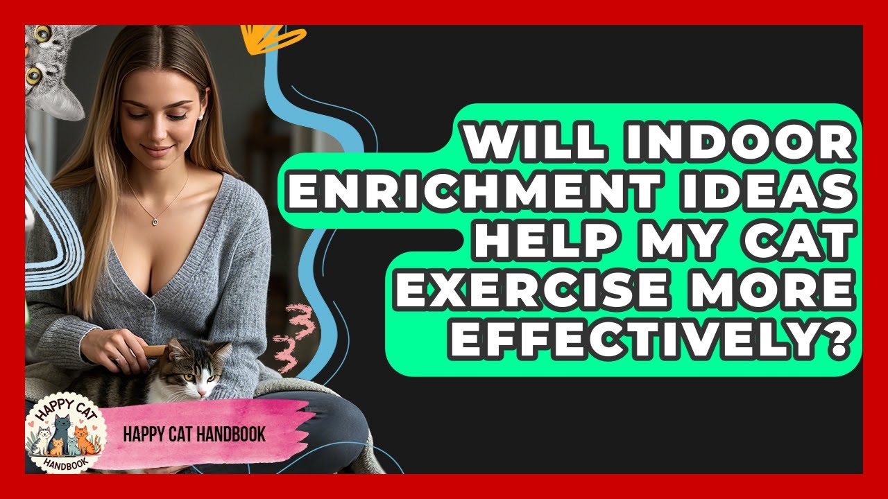 Will Indoor Enrichment Ideas Help My Cat Exercise More Effectively? | Happy Cat Handbook