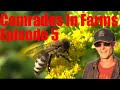 September 15th 2020 Comrades In Farms TFRLIVE.com Episode Show #5