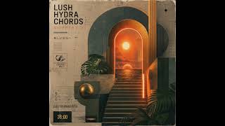 New Millennium Synthwave | The Entrance | Lush ASM Hydrasynth Chords Snippet #3
