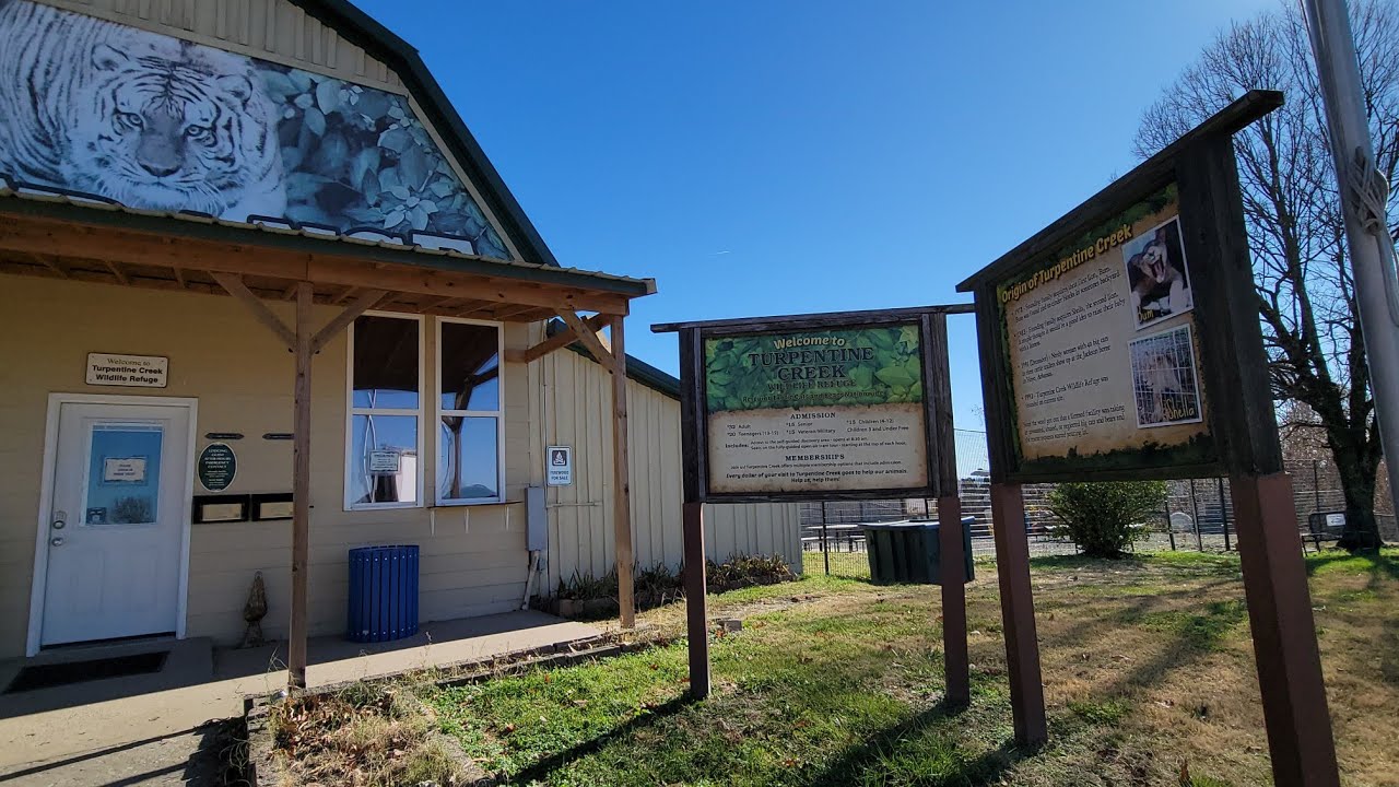 TURPENTINE CREEK WILDLIFE REFUGE/SUPPORT THE WILDCATS/ARKANSAS STATE