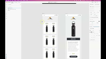 XD: Auto animate hover state