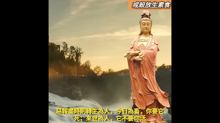 #戒殺放生素食 人類社會自古以來周期性遭受戰爭災難,為何人類歷史總抹不開幹戈流血的陰影，戰爭悲劇總是一幕一幕不斷上演 - 天天要聞