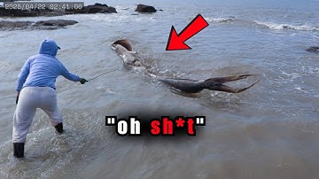 30 schokkende visontmoetingen vastgelegd op camera