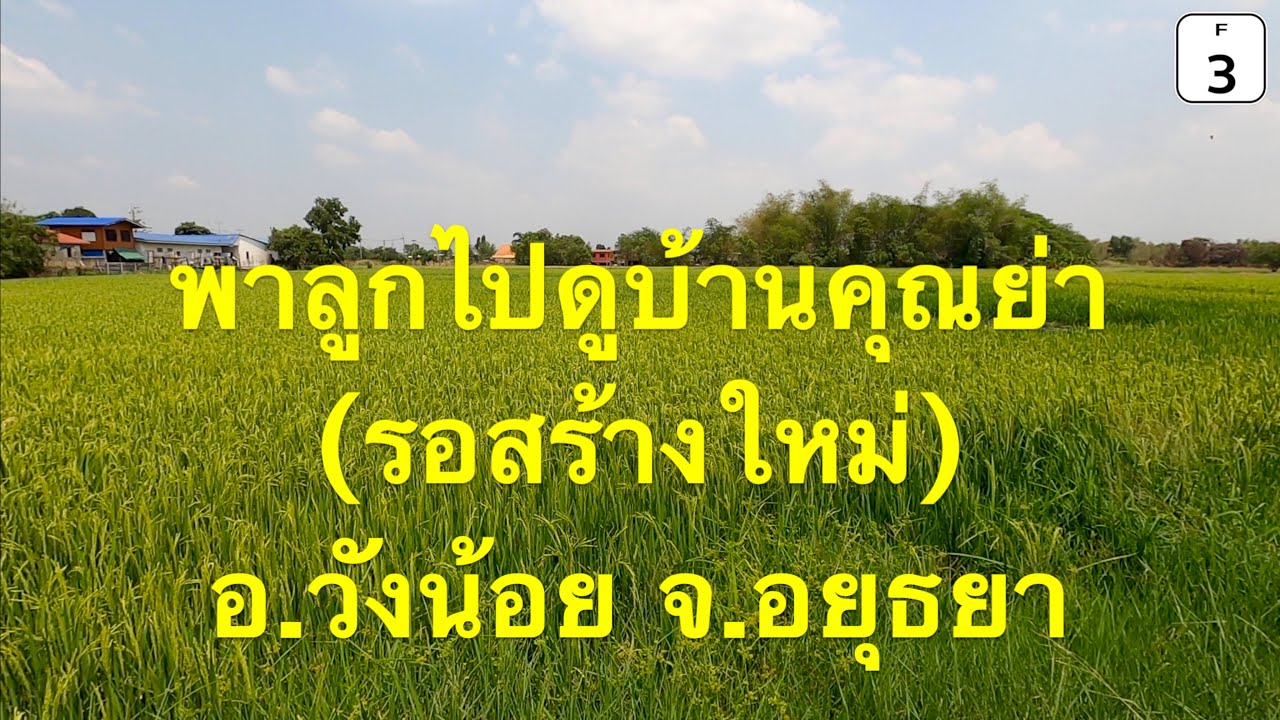 [F3] พาลูกไปดูบ้านคุณย่า | พังลงมา รอสร้างใหม่ | อ.วังน้อย จ.อยุธยา