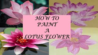 How To Paint A Lotus Flower Easy | Step By Step Water Lily Painting