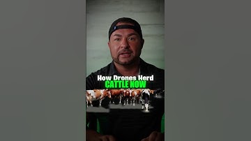 This drone replaced an entire ranch crew #farm #farmers #cow #agriculture #drones #contentcreator #b