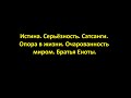 Истина.  Серьёзность.  Сатсанги.  Опора в жизни.  Очарованность миром.