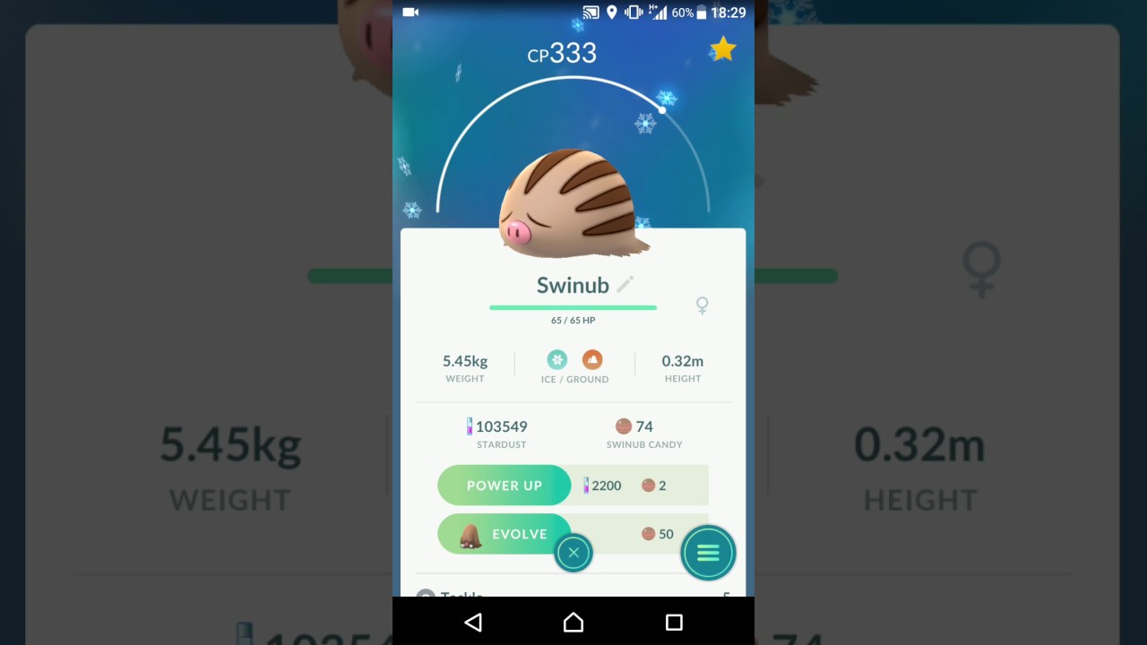 swinub evolving into piloswine on pokemon go youtube swinub evolution chart
