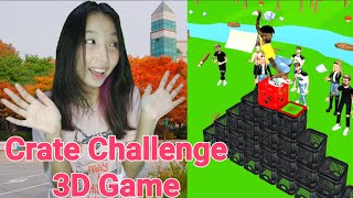 Crate Challenge 3D Game Gameplay screenshot 4