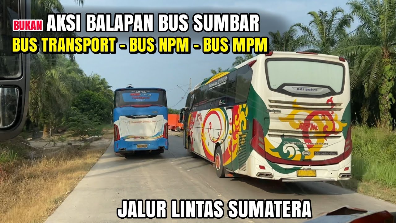 KONVOI SERU BUS SUMBAR🔥 || NPM DAN MPM BLONG TRANSPORT‼️