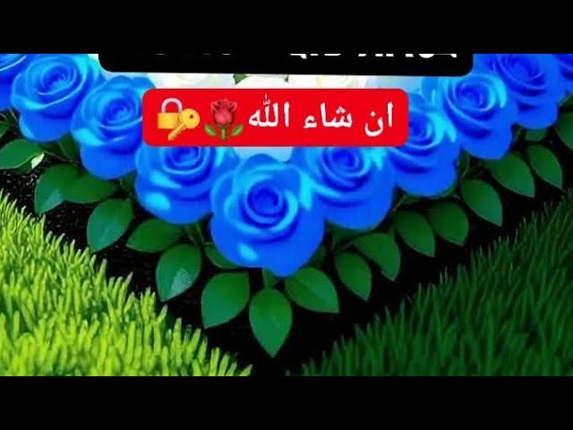 أن شاء الله