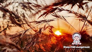 Golden Sunrise - Sheep Chill Loungemusic