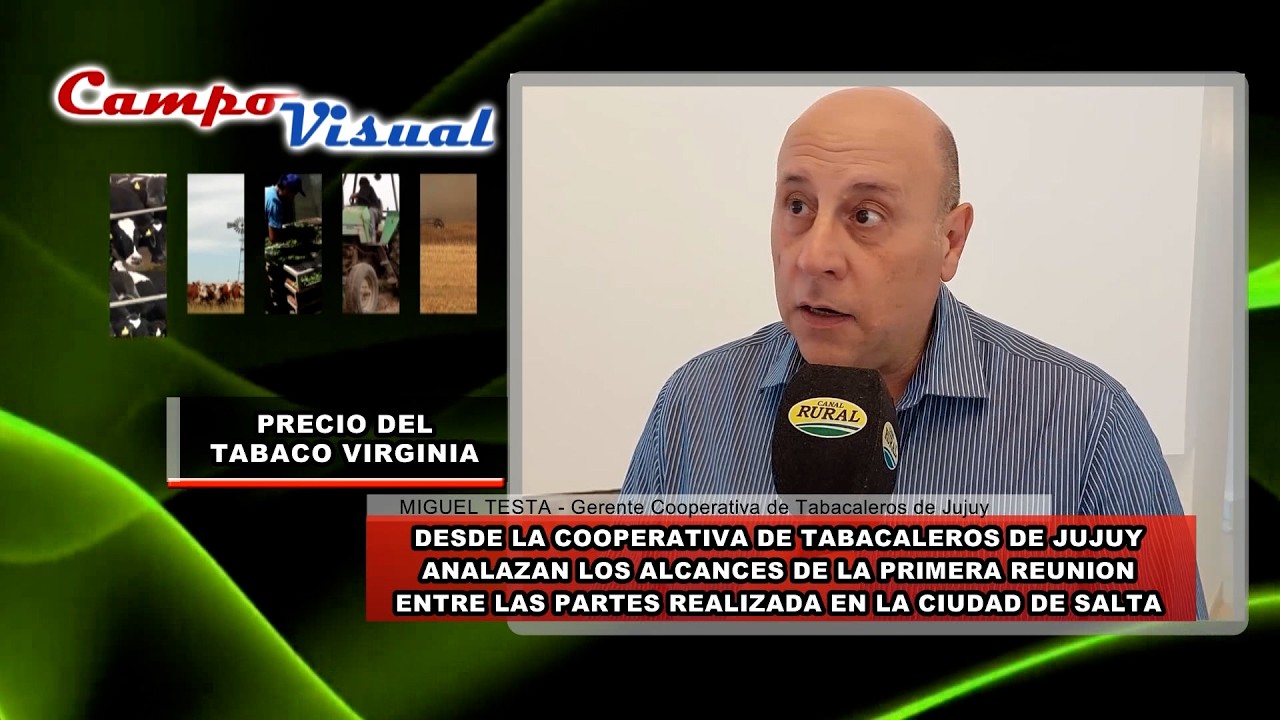 CAMPO VISUAL 19-02--2026