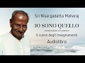 Sri nisargadatta maharaj  io sono quello  il cuore degli insegnamenti  audiolibro