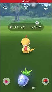 ズルッグ Youtube