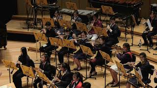 2019 WYBF Junior Band- Aladdin Medley