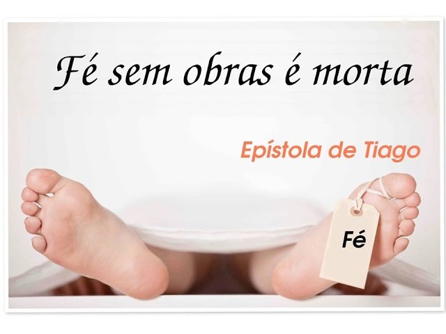 Que projeto fino senhores! 🍷🗿 Uma ideia boa seria concatenar as imagens  em um · tiagolofi · TabNews