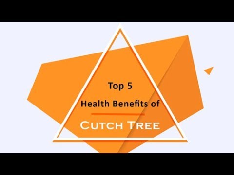 Top 5 Health Benefits of Cutch Tree