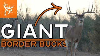 MONSTERS in the MESQUITE | Buck Commander