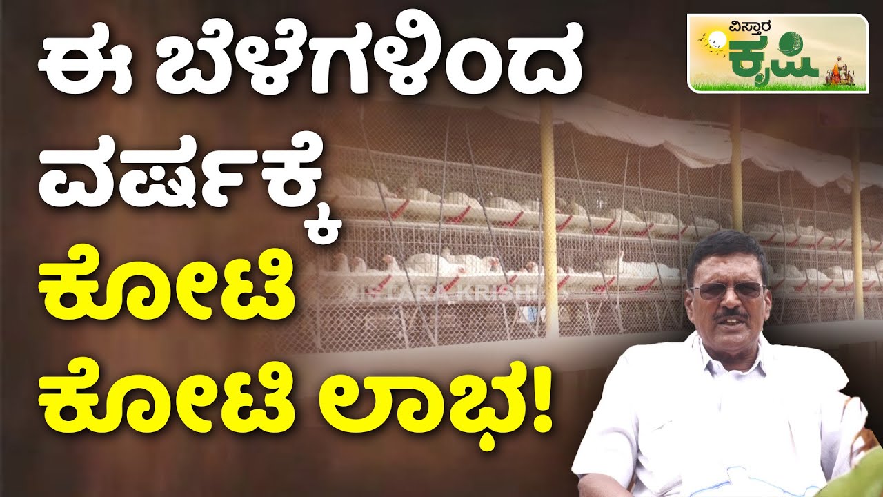Mixed Farming | ಕೋಳಿ ಸಾಕಾಣಿಕೆಗೆ ಈ ನಿಯಮ ಪಾಲಿಸಿದ್ರೆ ಲಕ್ಷ ಲಕ್ಷ ಲಾಭ ಗ್ಯಾರಂಟಿ | Farming Ideas|Agriculture