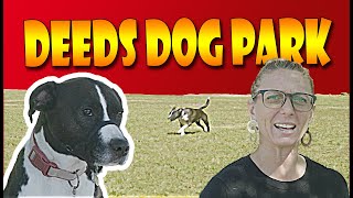 Dog Deeds Park in Dayton Dayton Entertainment Stephanie Clemens
