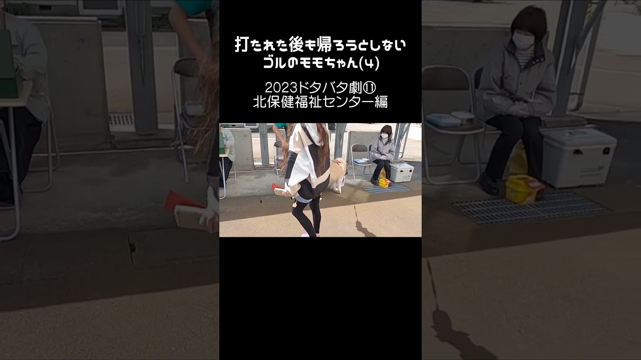 打たれた後も帰ろうとしないゴルのモモちゃん