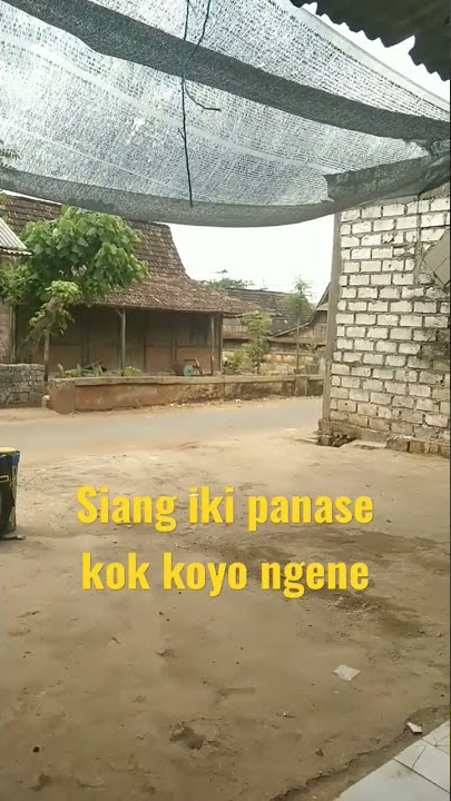 tayub panase koyo ngene #hiburan #shortvideo