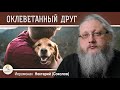 ОКЛЕВЕТАННЫЙ ДРУГ.  Собака - нечистое животное ?  Иеромонах Нектарий (Соколов)