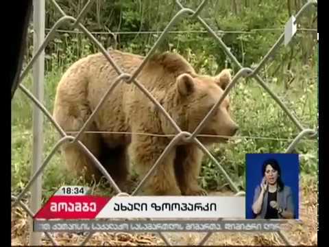 ახალ ზოოპარკში პირველი ვოლიერი გაიხსნა