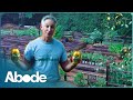 Maximise Your Crops During Fall And Winter (Gardening Best Practices) | Abode