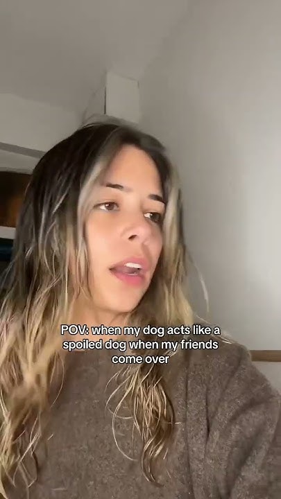 When My Dog Acts Like A Spoiled Dog dog comedy YouTube when-my-dog-acts-like-a-spoiled-dog-dog-comedy-youtube