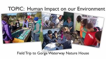 Transitioning To Library Learning Commons