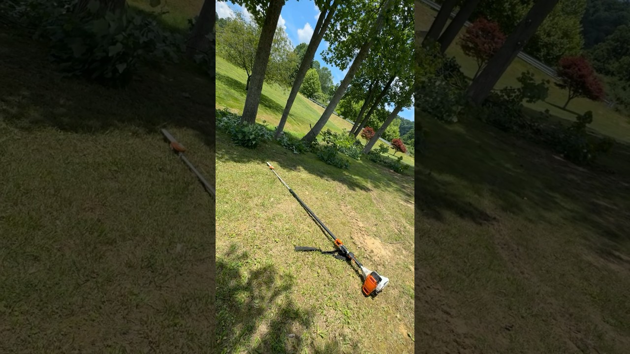 Stihl Pole Saw Review 
