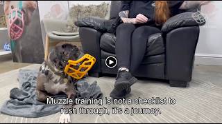Muzzle March: Muzzle Training Your Dog, Part 7