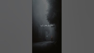 قال ﷺ:"من قرأ سورةَ ( الكهفِ ) في يومِ الجمعةِ أضاء له من النورِ ما بين الجمُعَتَين #سورة_الكهف