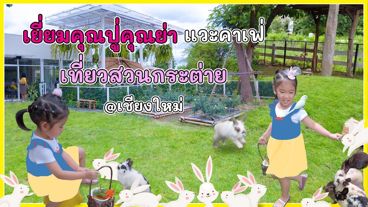 Union The Rabbit เที่ยวบ้านกระต่าย The Rabbit Union ที่เชียงใหม่ - YouTube
