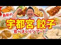 【宇都宮】餃子めぐり攻略ガイド(有名店や新店など5店舗を食べ歩き)